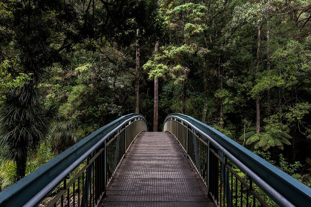 "The Path Isn’t Perfect—And That’s the Beauty of It"